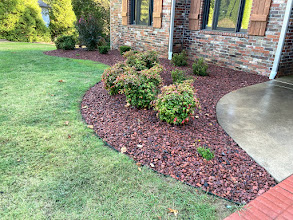 Curved mulch foundation bed with metal landscape edging and shrubs along a brick home.