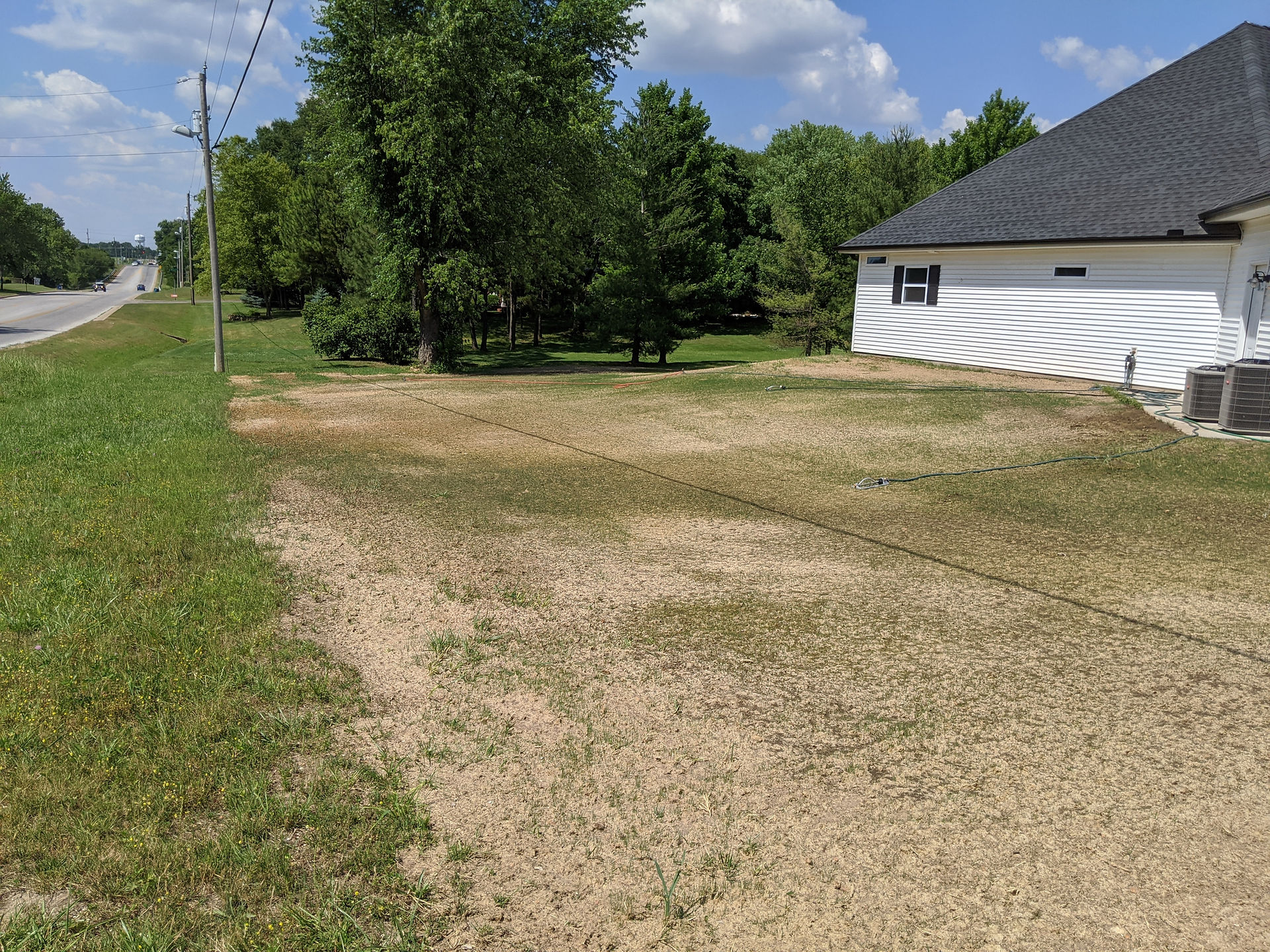 New lawn growing
