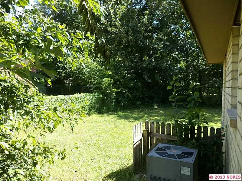 i - backyard