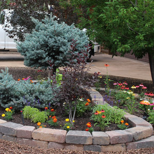 Artistic Outdoor Features