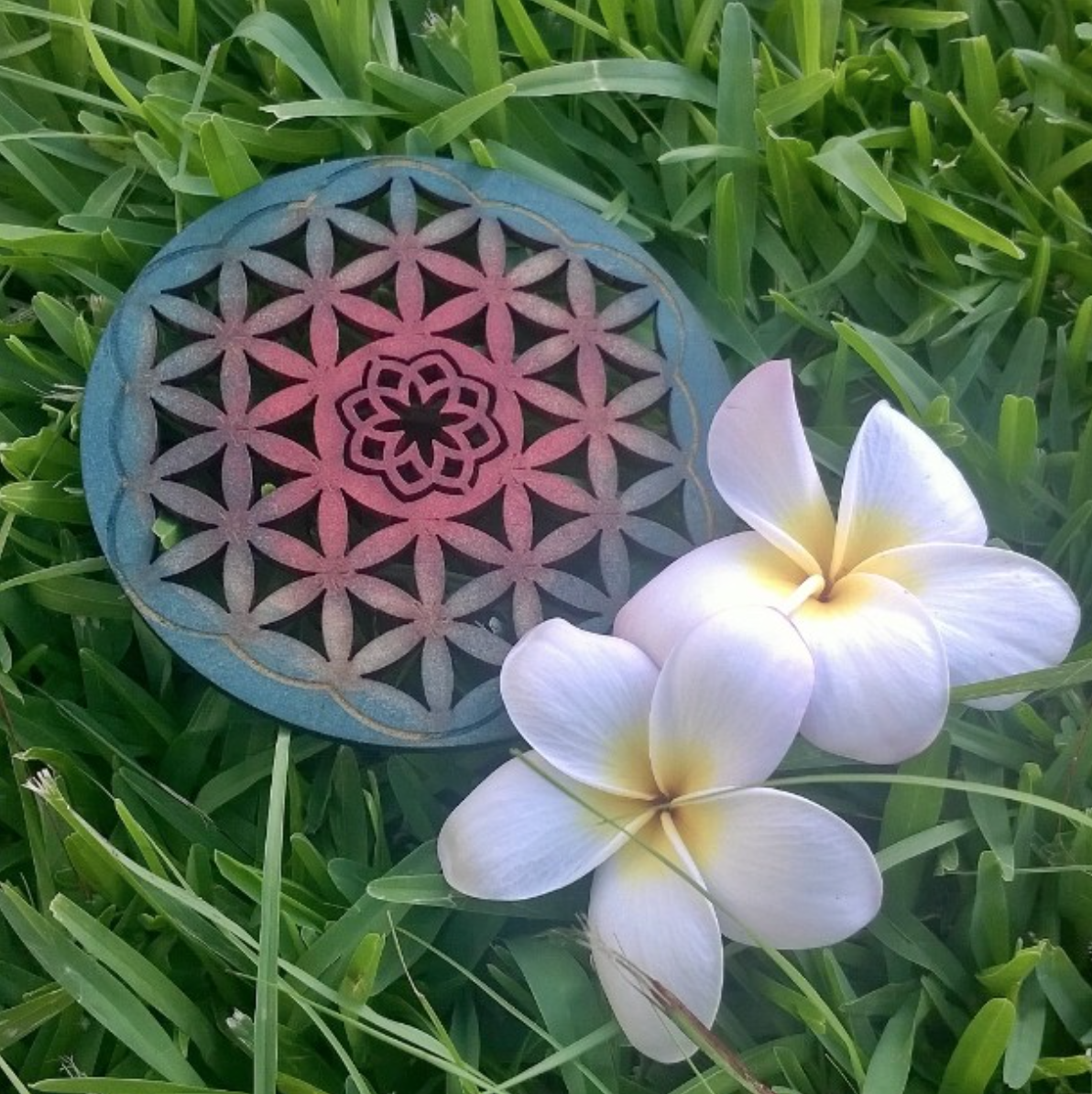 POSAVASOS / COASTERS