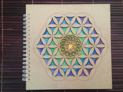 LIBRETAS / NOTEBOOKS