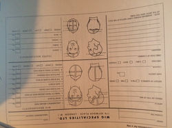 image5.jpeg