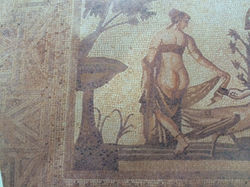 image5.jpeg