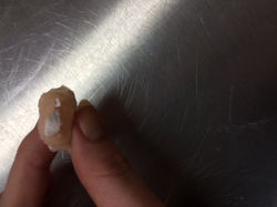Silicone pulled out plaster