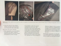 image6.jpeg