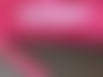 Pink gemusterter Stoff mit floralen Motiven, darunter ein passender Reißverschluss in Pink auf grauem Untergrund. Im oberen Bereich steht in lila Schrift auf einem transparenten Banner: „Mein Mai 2025“ – ein Rückblick auf den kreativen Monat einer Handmade-Taschenmacherin.