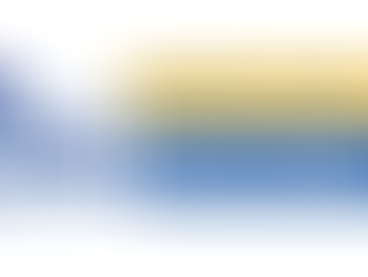 Élection à la CPNI : explications sur les modalités électorales