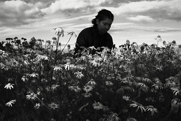 DSCF9148.jpg
