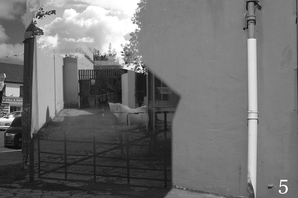 Thumbnail: Throwaways photo print (20x30)
