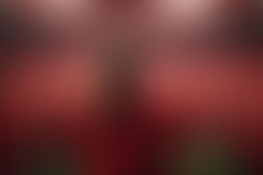 Einladung zur Mitgliederversammlung des VfL Bad Ems e.V. für MITGLIEDER