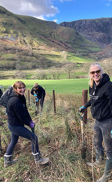 Woodland connectivity planting in north Wales for Volvo