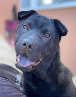 WhatsApp Image 2022-06-14 at 14.59.34 (1).jpeg