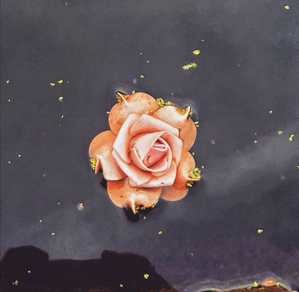 Love Amnesia: A Journey of Rediscovery