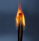 Twin Flames