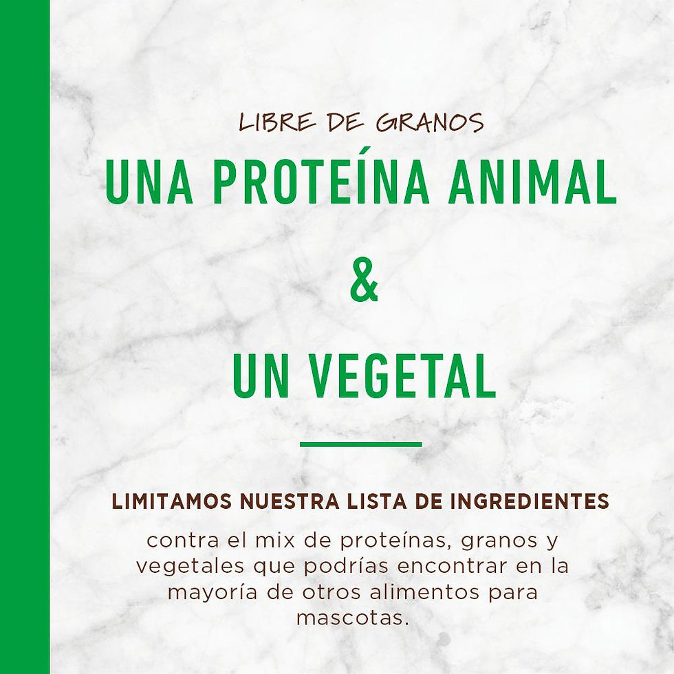 Miniatura: Instinct® LID Cordero
