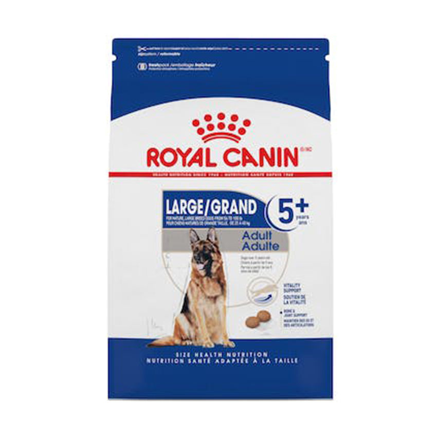 Large Adult 5+ Aging Adult