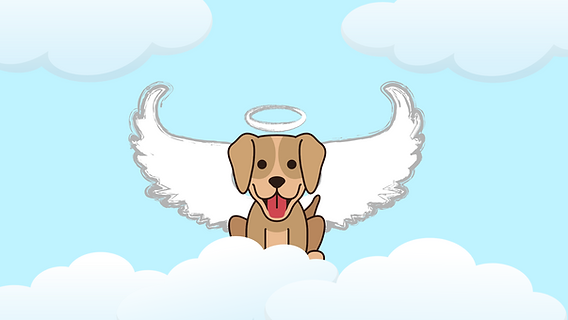 están tristes los perros cuando mueren sus cachorros