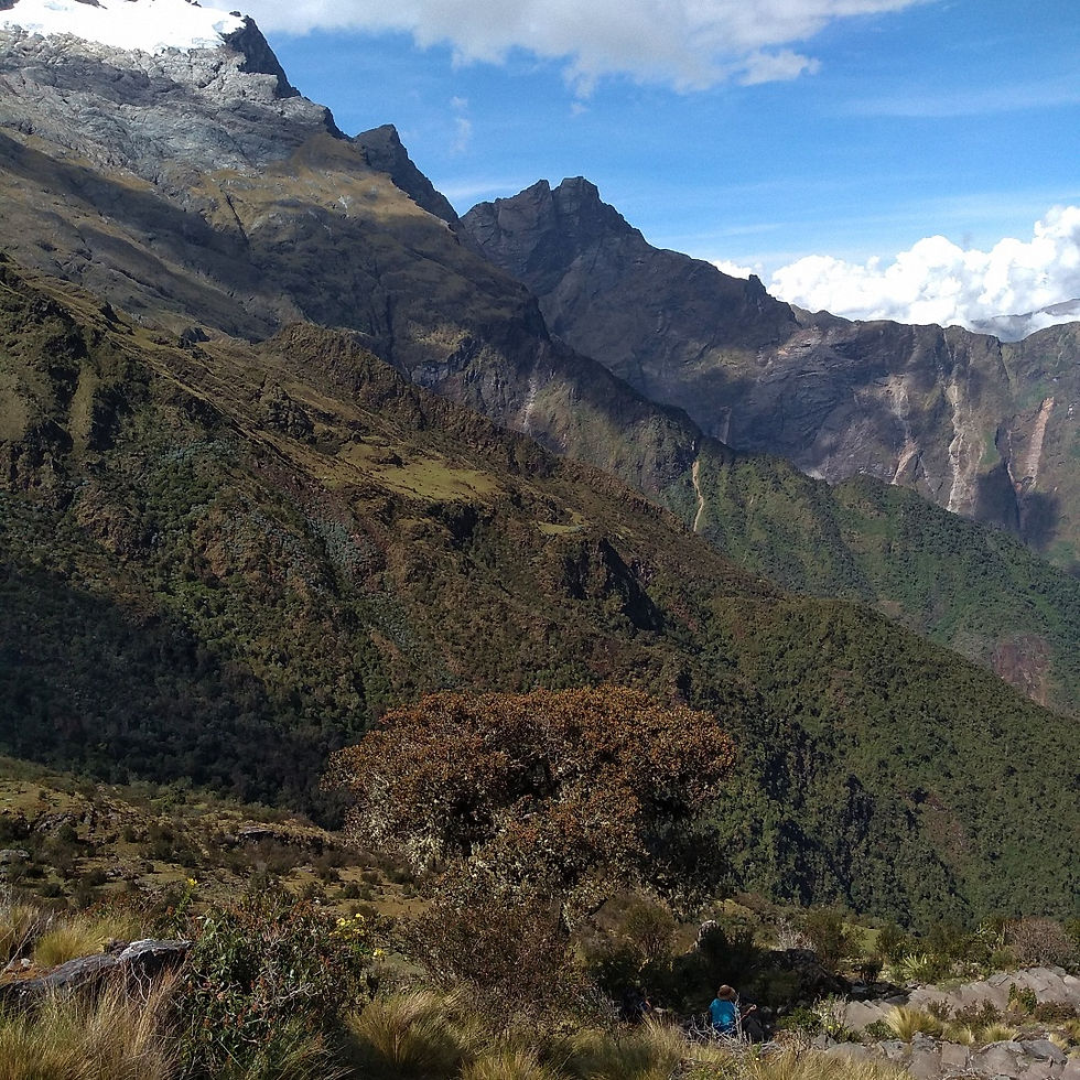 Miniatura: Choquequirao / Machu Picchu