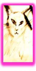 Pinkitty.jpg