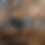 Thumbnail: The Scout
