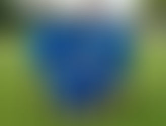 Firmensport-Schweizermeisterschaft 2016