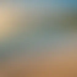 How to Secure Your Long-Term Future in Indonesia: Benefits, Golden Visa, and Establishing Your Company with Confidence