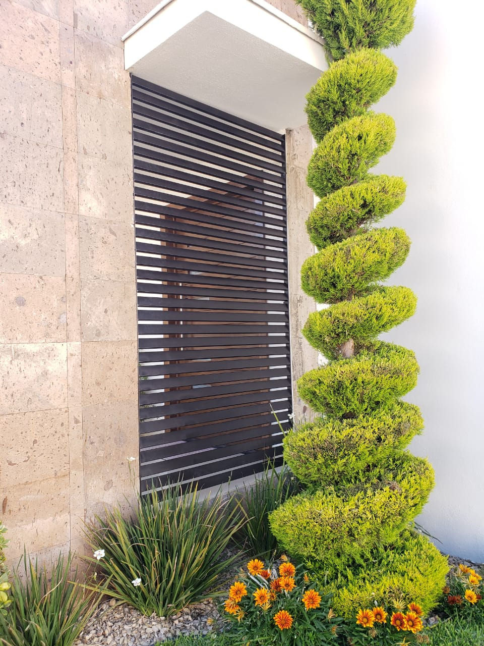 WhatsApp Image 2019-05-17 at 5.11.00 PM.