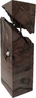 20260309_141157.png