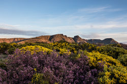 2016-06-05 Amanhecer de Primavera SE (8)