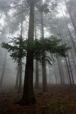 2013-12-23 Serra da Estrela (3)