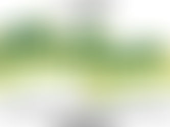 Flow State the Vermont Mountain Bike Festival