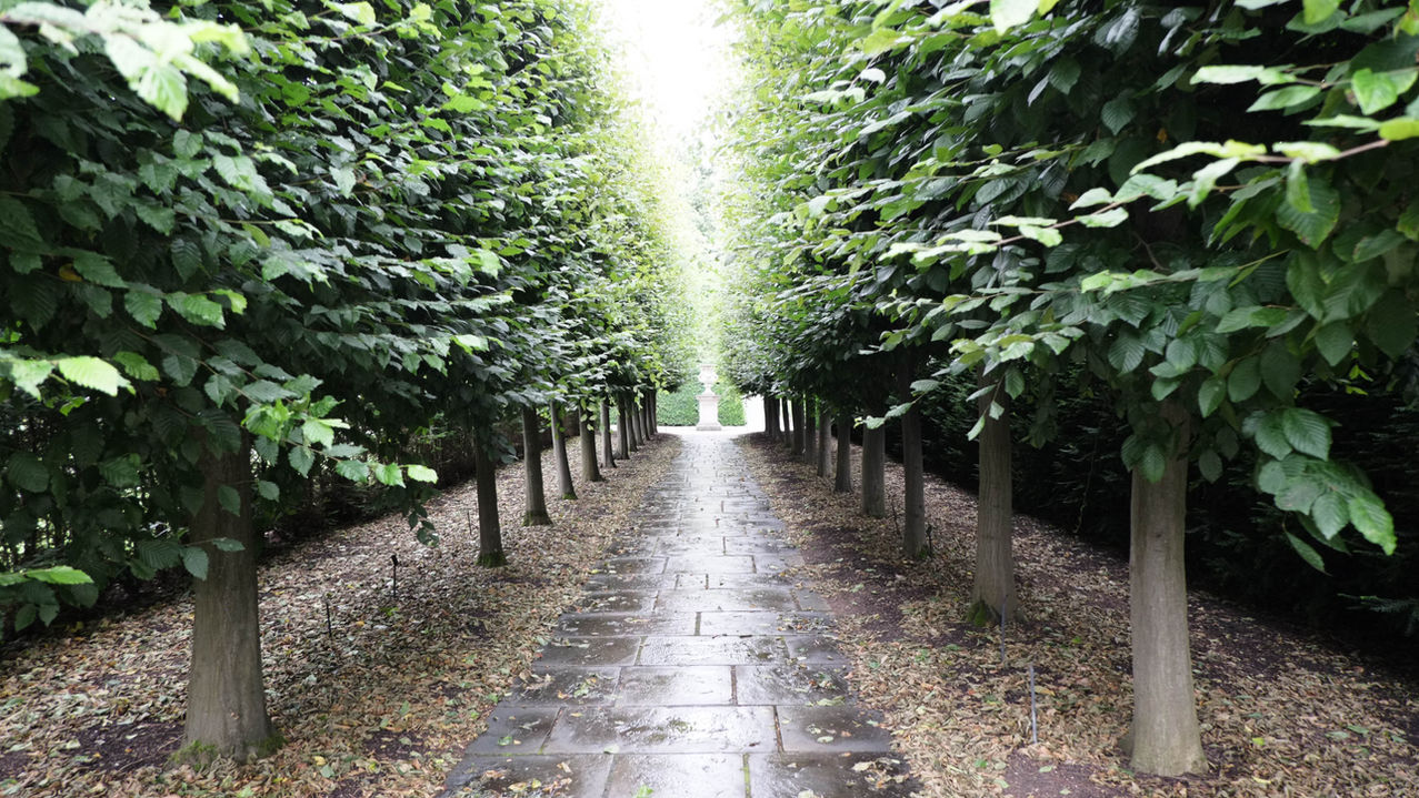Pixels : A Walk Around kew Gardens