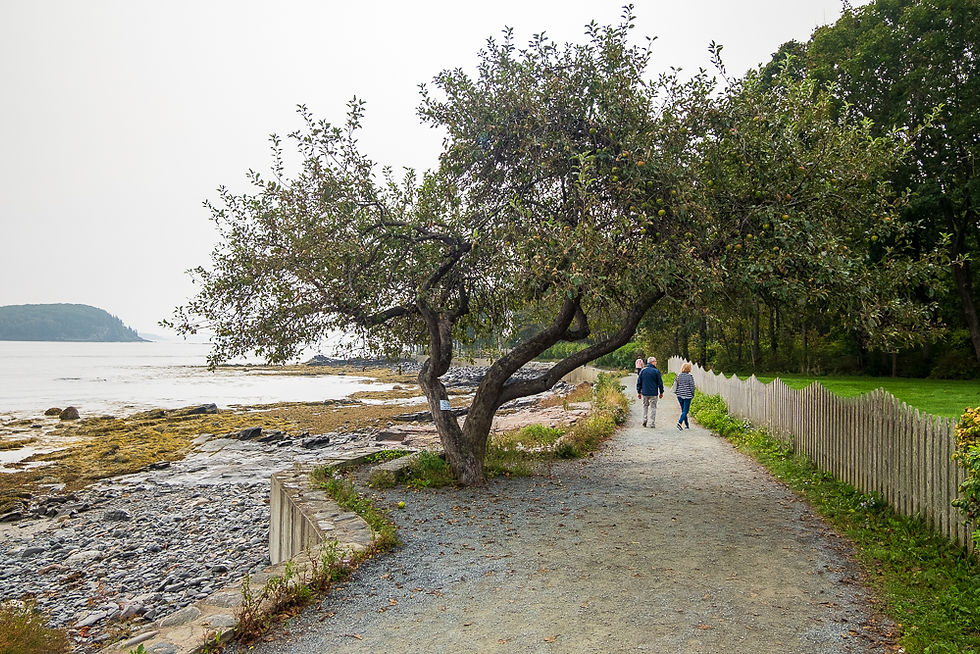 Tourists taking the shore walk