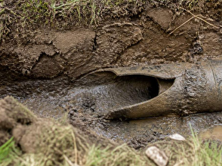 Signs of Sewer Line Damage in Your Yard: 2026 Guide