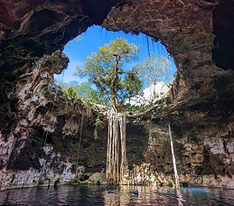 santa barbara homun.jpg