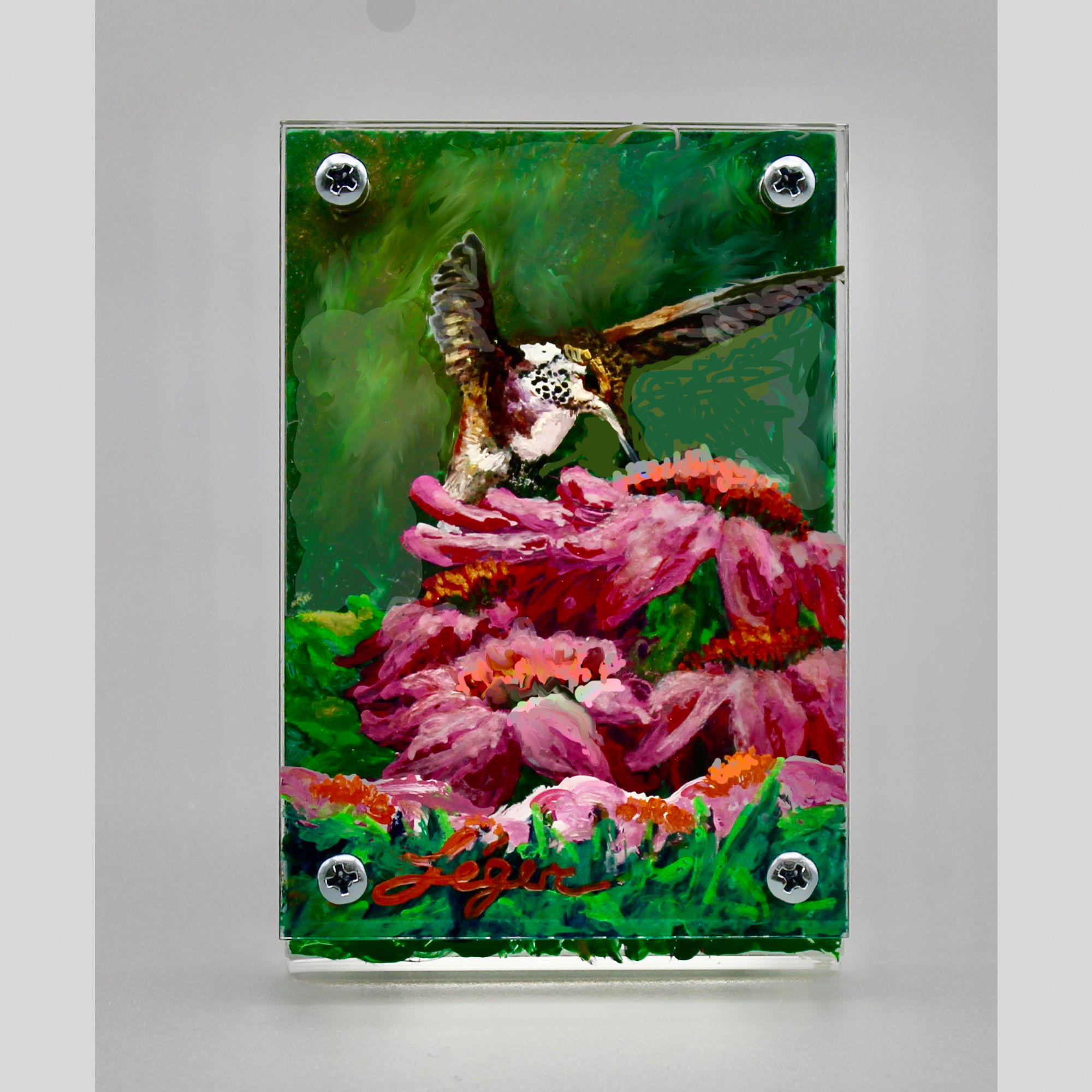 Hummingbird and pink gerbera daisies