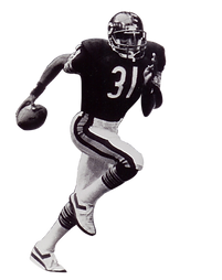 KT_Bears No Background 3 18 16.png