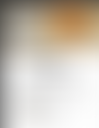 Habit Fundraiser - Dec 17