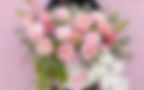 938BA767-D161-4DBF-8483-6287B6B00C2A_edited_edited.jpg