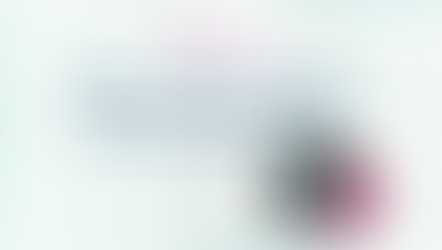 Why does Japan work so hard?