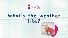 What's the weather like?