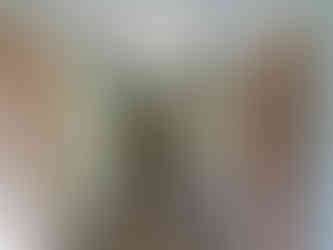 Instandsetzung Wohnhaus Tobelhofstrasse 232 Zürich-Hottingen, Gesamtinstandsetzung