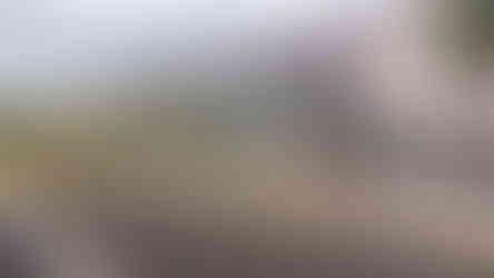 Neubau Oberstufenschulhaus Hunzenschwil, Schmid Schaerer Architekten GmbH, Bauleitung Kostenplanung