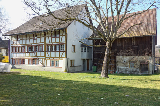 Instandsetzung und Ausbau Scheune Meyerhof Zürich-Witikon, Stabilis AG, Bauprojekt, Bauleitung Kostenplanung