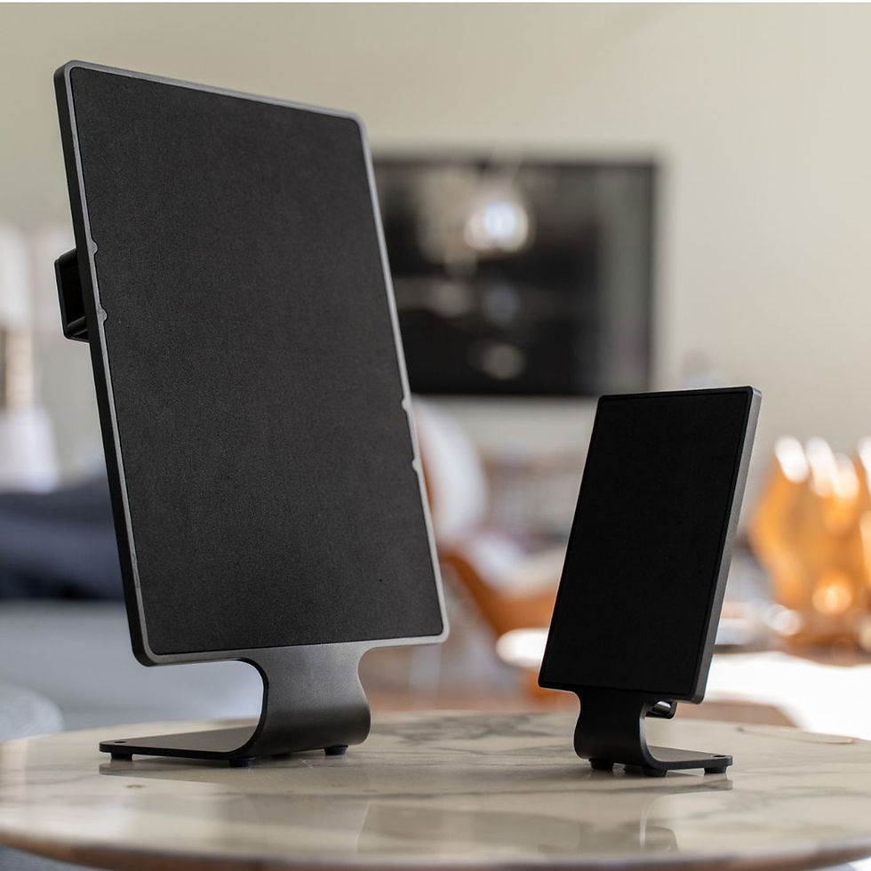 Disrupting Home Audio Forever