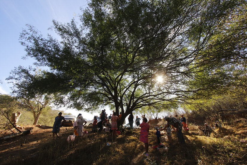 La Narcopolítica se institucionalizó en la Tarahumara