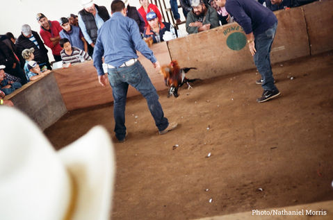 Nayarit and the Making of a Narco State