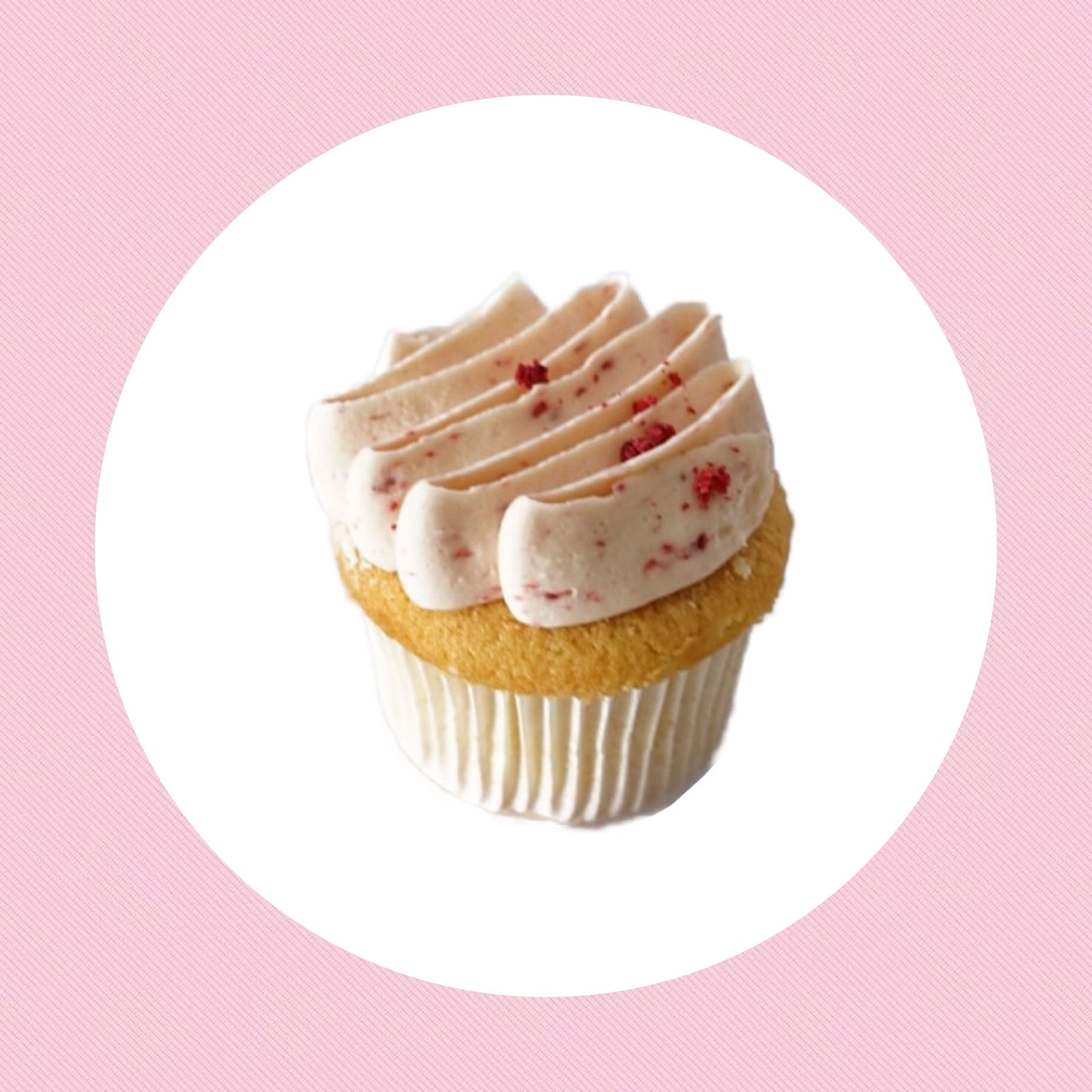 Raspberry white chocolate(12pc/18pc/24pc)