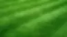 iron-sulphate-for-a-green-lawn_1.webp